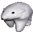 frankfrankfrank