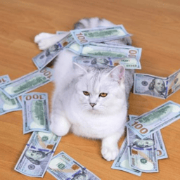 Dollar Cat Average