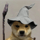 DogWizHat