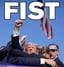 FIST