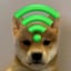 DOGWIFI2.0