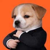 7NqCxc4qvwquxY4zb6AEod4eGVfPZZ789CUcvZShEVvS's profile picture