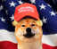 DOGENALD