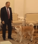Putins Dogs Real Name