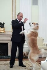 Putin's Dog
