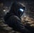brittleseal1966's profile picture