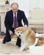 Putin's Dog