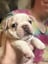 sirpumpzo's profile picture