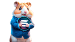 Hamster Of Solana