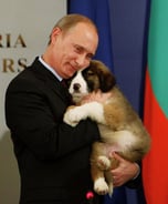 Putin's dog