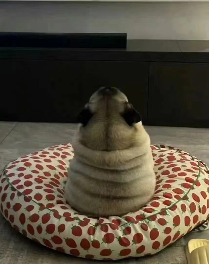 Michelin