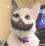 JDCAT