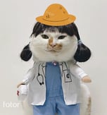 medic cat