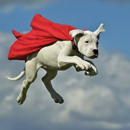 KRYPTO the Superdog