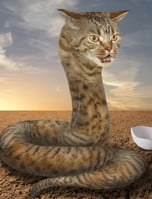 CatSnake