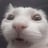 richoffdiscord's profile picture
