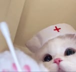 Medi