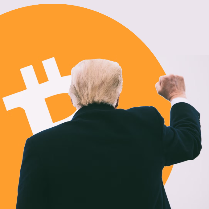 BTC token logo