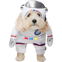 Astronaut dog