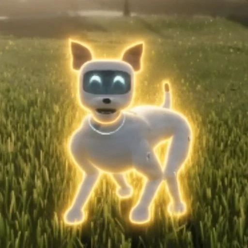 Pet
