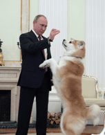 PUTIN'S DOG
