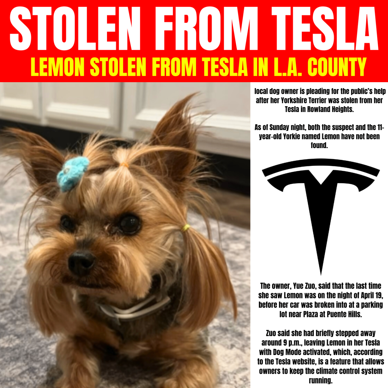 Dog Stolen From Tesla (Lemon) - Pump