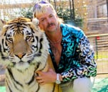 Tiger King 👑 