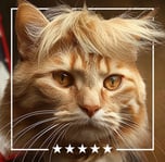 Trump Cat