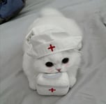 Doctor Cat