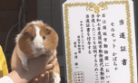 New Suzaka City Zoo Mascot 