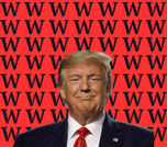 Win Trump