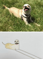 “Rubbish” Pet Portraits 