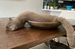 Snake cat