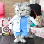 MEDICAT