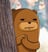 sourav09's profile picture