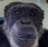 onlyt0mmy1's profile picture