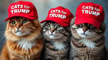 TrumpCats