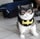 BATCAT