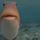 BLUB