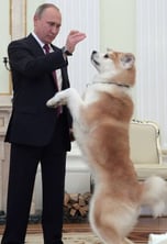Putin-Dog