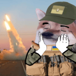 War Dog