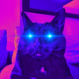 DarkMeow