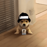 $LUCKYCOIN