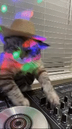 DJCAT
