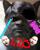 CAT420