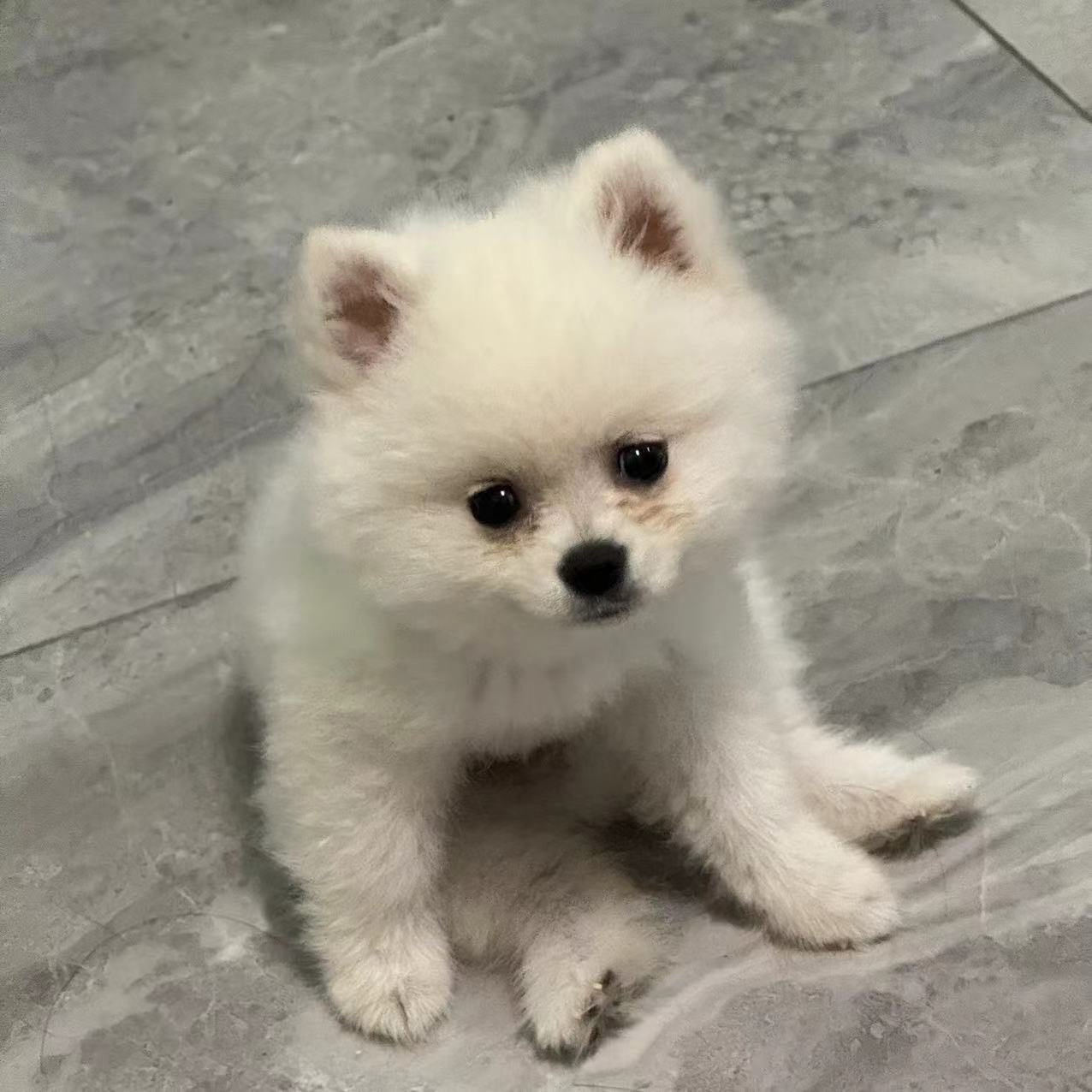 LUCKY