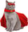 SUPERCAT