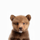 TED