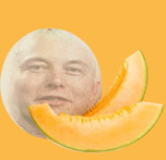 MELON M