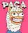 Paca